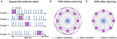 Learning and replaying spatiotemporal sequences: A replication study